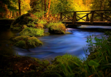 Poster Brücke pber Bach im Wald