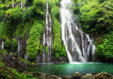 Poster Dschungel Wasserfall