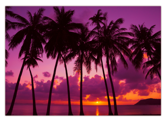 XXL Poster Palmen am Strand im Sonnenuntergang