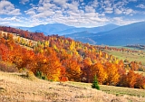 Herbst hält Einzug im Gebirge mit Bäumen in bunten Farben