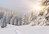  Tiefverschneite Winterlandschaft Sonne strahlt vom Himmel