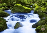 Gebirgsbach blaues Wasser über grüne moosbedeckte Steine